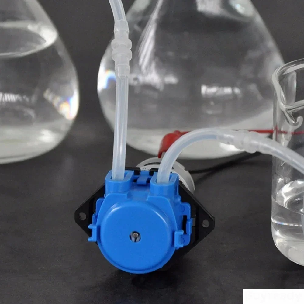 DC 12V 24V Dosing Pump Perista - Mini Peristaltic Pump 12V review and price